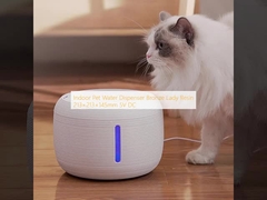 Внутренний водораспределитель для домашних животных бронзовая смола леди 213 × 213 × 145 мм 5В постоянный ток