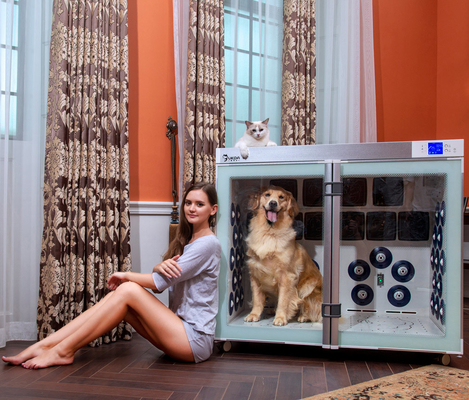 воздуходувки клетки 6 любимца 220V 2500W более сухие малошумные для холить собаки